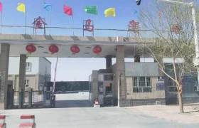 金马驾校