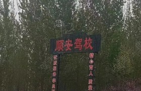 顺安驾校