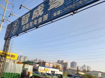 智成驾校