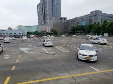 梦之岛驾校