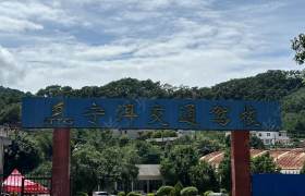 宁洱交通驾校