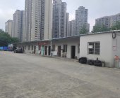 荊理駕校