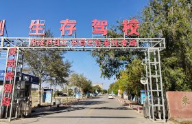 生存驾校