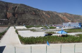 陇西通昌驾校