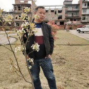 吳宏