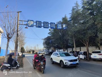 冠鸣驾校