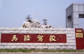 马陆驾校