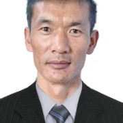 杨冬