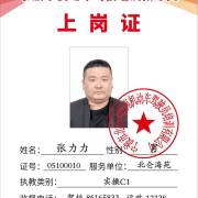 张力