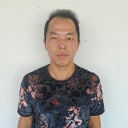 刘金新